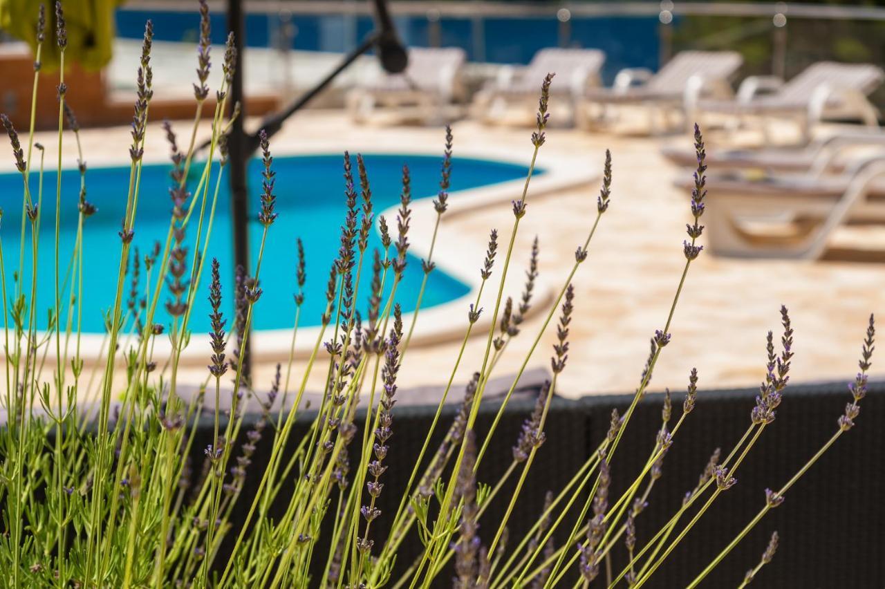 Apartman Milina Korcula