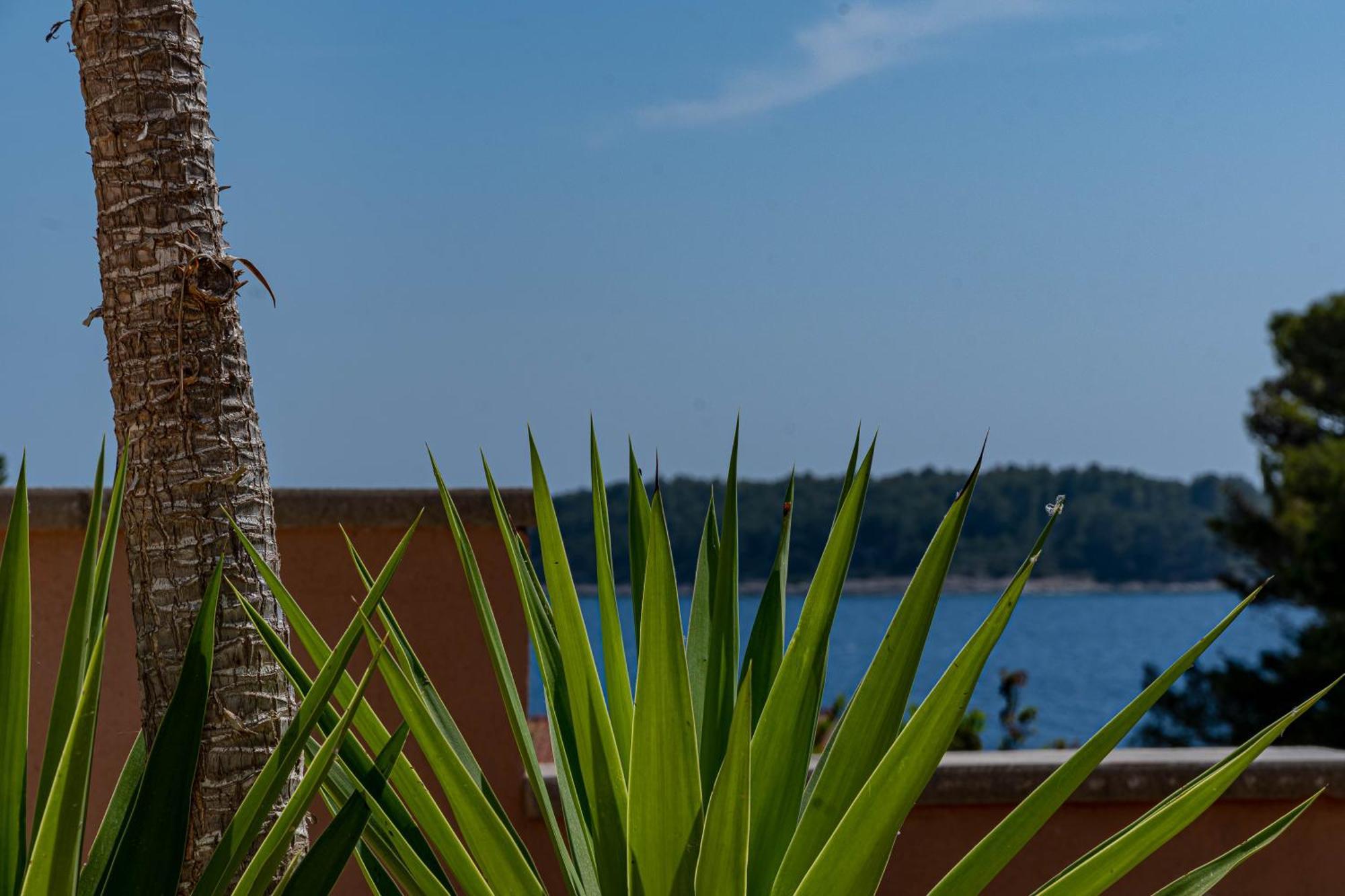 Milina Korcula Apartman Vela Luka